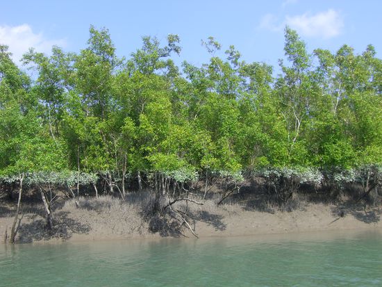 Hier kann man schön sehen, wie sich der Wasserstand im Laufe des Tages verändert !!