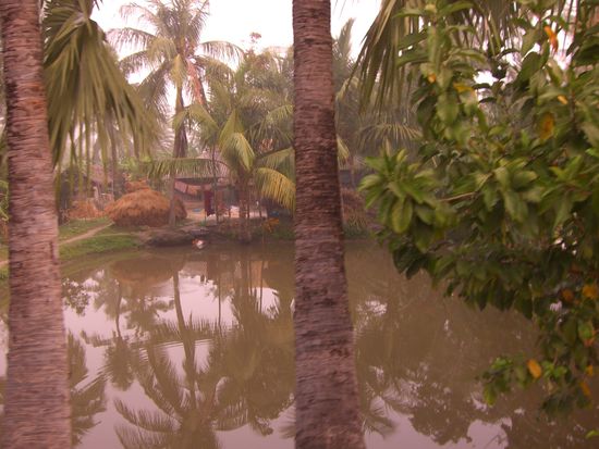 nach vier Wochen das 1. Mal "Nebel" und ein ein paar Regentropfen auf dem Weg zurück von Pachiraca nach Gosaba