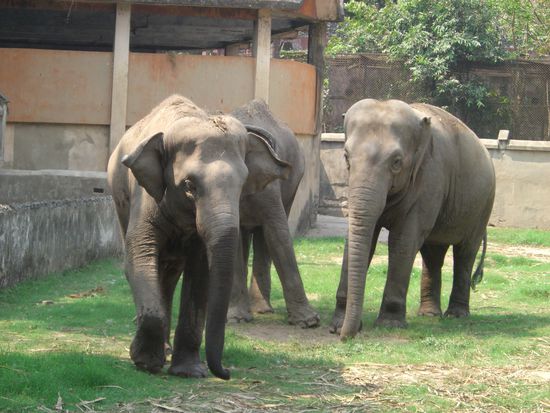 in Freiheit hätte ich sie lieber gesehen