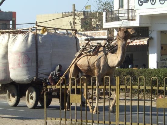 weitere Verkehrsteilnehmer