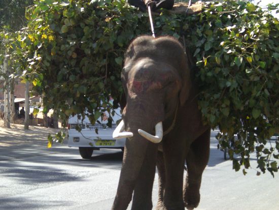 Dieses Bild ist ganz allein fuer KILIAN !