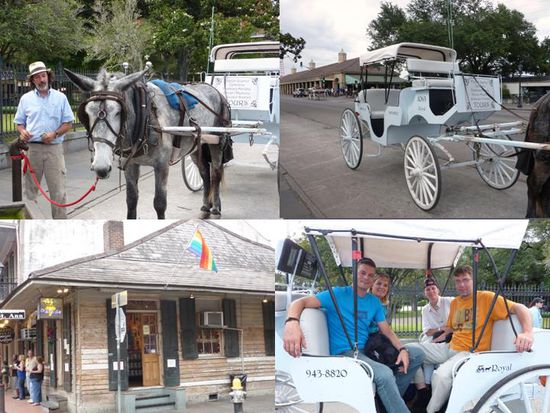 Eine Fahrt mit dem Muli durch das French Quater.