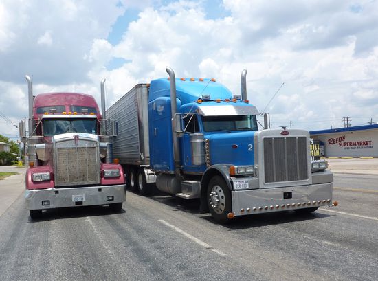 Wunderschön, aber wieder kein Adler !!