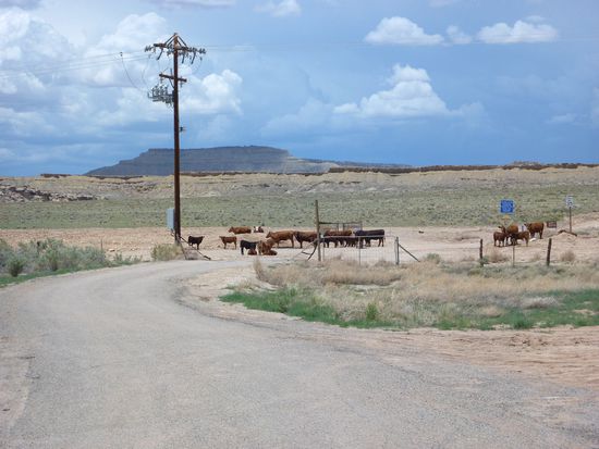 Gestern hat Kurt noch verzweifelt einen Abkürzer nach Bryce Canyon City gesucht und auch gefunden - eine ganz kleine Straße lt. Navi - wie wir dann gesehen haben nichts für HDs !!! - also müssen wir ausnahmsweise eine Straße 2 x fahren
