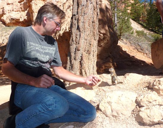 Ja ja, zuerst herlocken und dann kein Futter haben - schöne Touristen sind das !! 