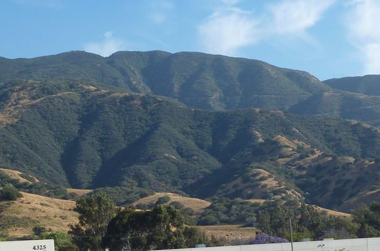 Hügelig wie in der Steiermark, da fühlt sich Arni sicher wohl. Nur die Bäume fehlen ein bißchen.