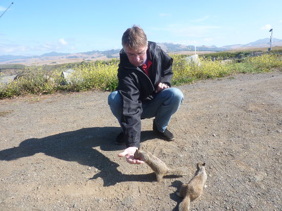 Ich hab ja gewußt, dass ich die trockenen Frühstückskeks noch gebrauchen kann.
