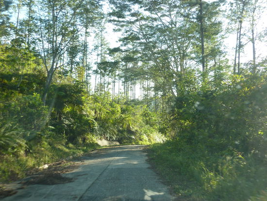 Eine schlechtere Straße wie diese haben wir nicht mehr gefunden, eigentlich auch nicht wirklich gesucht.