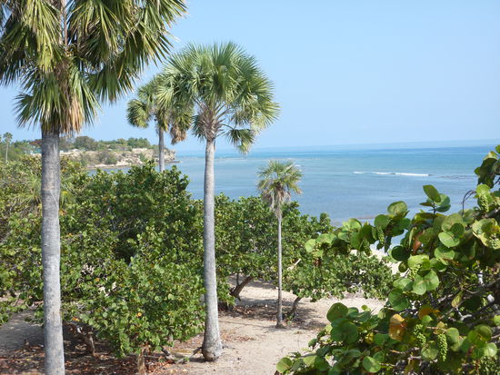 WOW und vielleicht taucht auch gleich Johnny Depp auf !??!