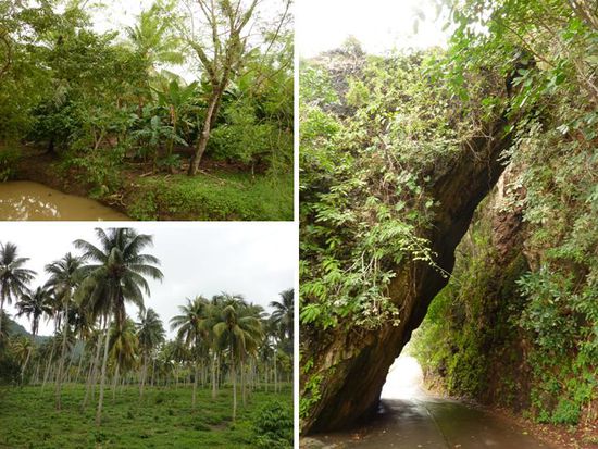 Auf dem Weg zum Rio Yumuri sind wir durch den Paso de los Alemanes gefahren.