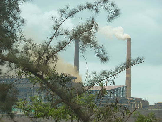 Um 10.50 Uhr waren wir in Moa.
