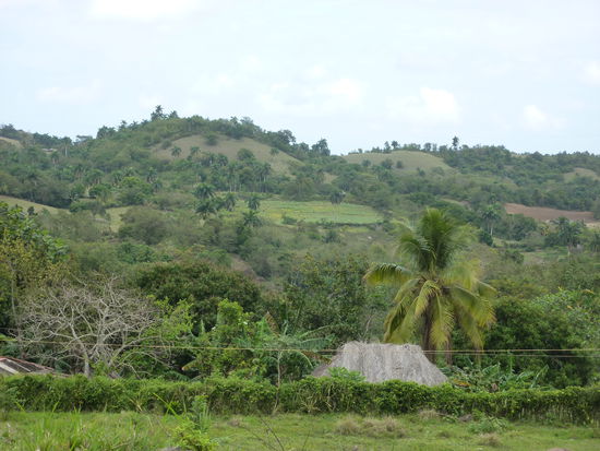 ........ hier dagegen sehr gerne !!