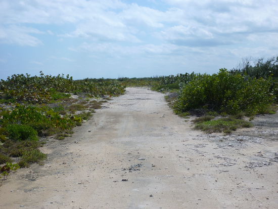 Der Weg zu unserem Strand