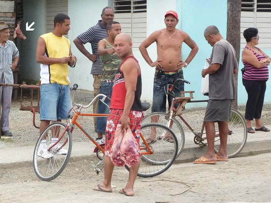 Da muss man doch krank werden wenn man sonst so steril lebt, wie wir Österreicher !!!