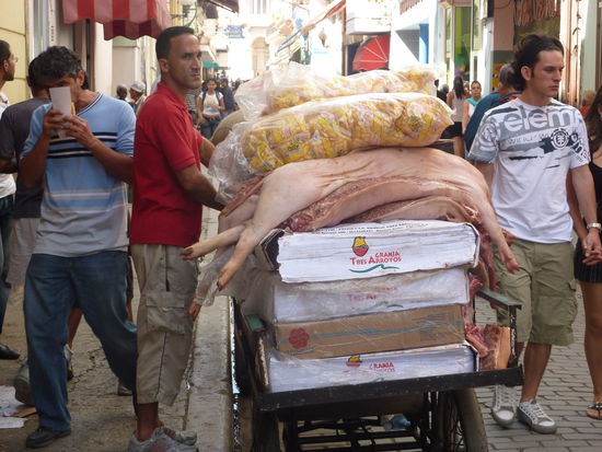 Wenn nicht bald ein Käufer kommt, sind die Fliegen/Maden schneller !! Aber ist ja auch Fleisch ! Ab ins Dschungelcamp !