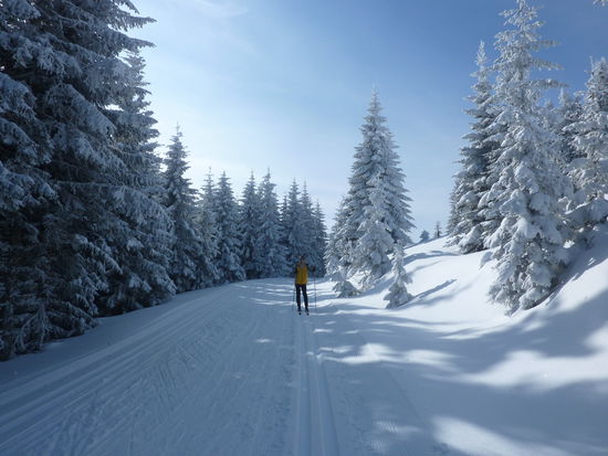Das letzte Wochenende war auch bei uns echt schön !!