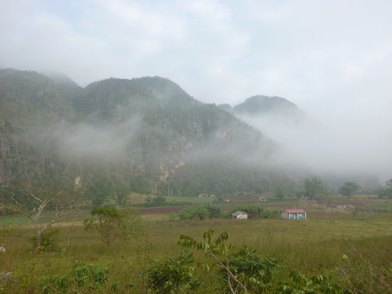 Mogotes