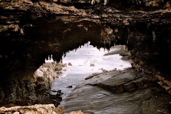 An und unter dem Admirals Arch lebt eine große Kolonie Neuseeländischer Seebären