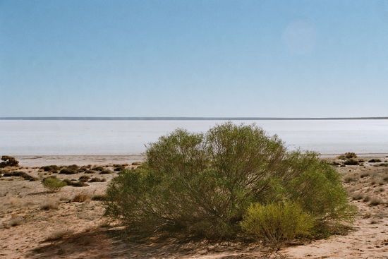 Das Outback enthält zahlreiche ausgetrocknete Salzpfannen, die sich nur nach massivem Regefall mit Wasser füllen. Lake Hart in South Australia ist ein solcher wasserloser See.
