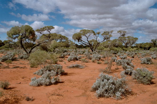 Das Outback nördlich von Port Augusta