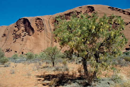 Bizarre Oberflächenstrukturen am Uluru