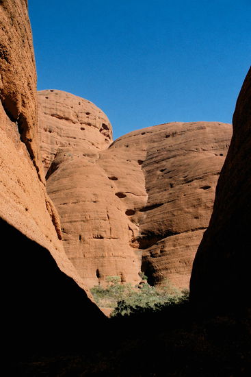 Beim Wandern im Valley of Winds zwischen den Felsendomen der Kata Tjutas