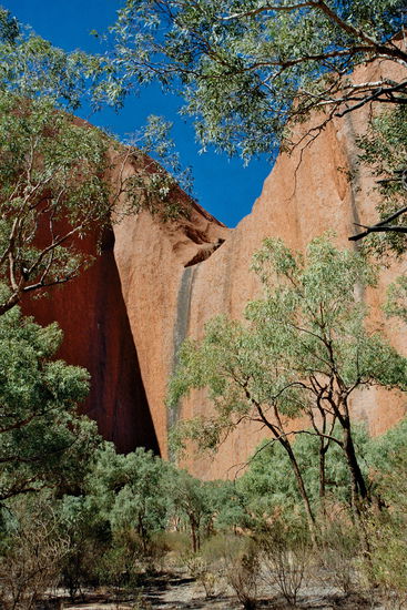 Aus der Nähe zeigt sich die Farbenvielfalt des Uluru.