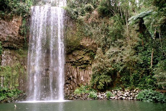 Die Millaa-Millaa-Wasserfälle