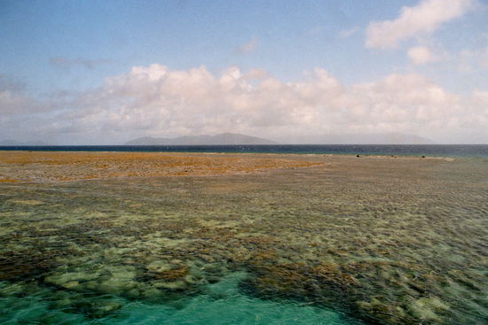 Blick über den Riffgürtel von Green Island zum Festland. Das Riffdach liegt wegen Ebbe trocken.