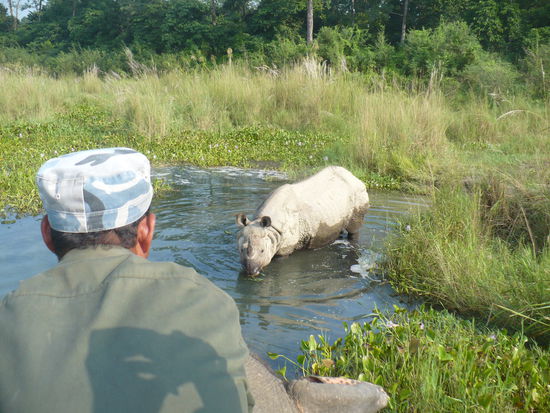 Erfolgreiche Nashorn-Pirsch