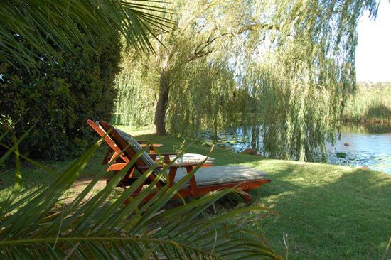 Der Teich