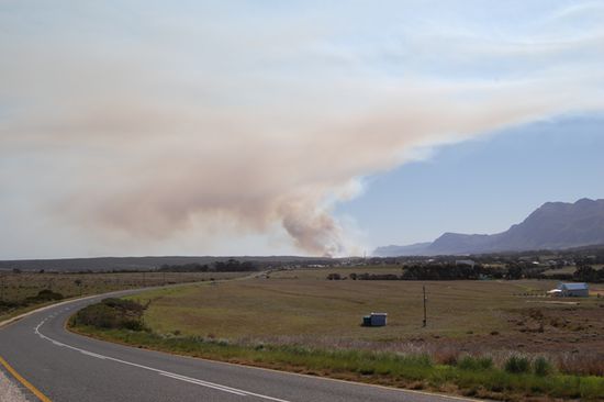 ca. 20 Km vor Hermanus