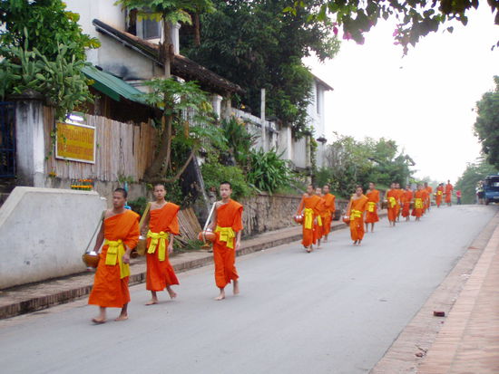 Luang Prabang morgendlicher Almosengang der Mönche