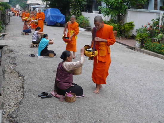 Morgendlicher Bettelmoenchgang - Die Moenche zu naehren gilt in Laos als Ehre