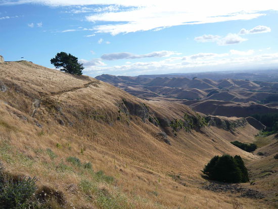 Huegel in der Naehe von Hawkes Bay