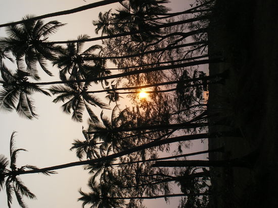 auch abends in arambol