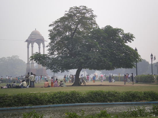 im morgen am india gate in dehli.