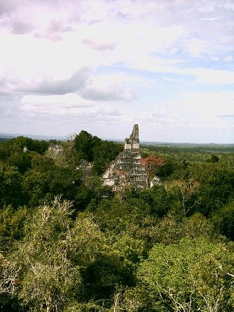 Tempel mitten im Wald