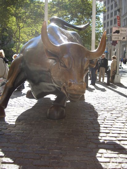 "Charging Bull" Ich hab ca 10 Minuten gewartet bis keine Menschen mehr davor waren...