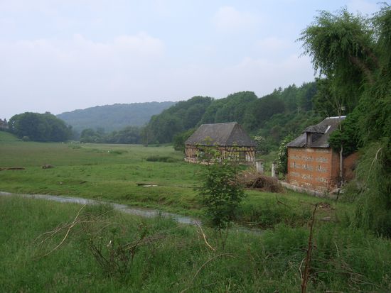 Da waren auch noch Schafe, aber die habe ich wohl leider nicht mehr mit aufs Bild bekommen!