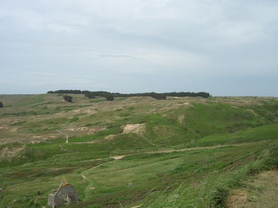 da macht das Kaninchenjagen doch richtig Spass, dachte sich Balou und verschwand!