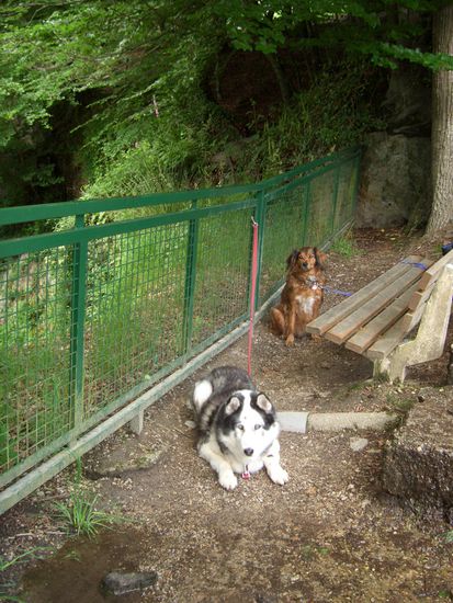 na endlich mal beide auf einem Fleck