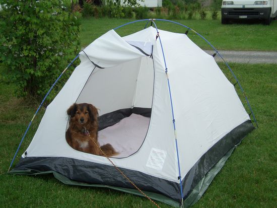 Sieht so aus, als ob er noch nicht abreisen wollte, oder ?