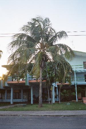 gegenueber von unserem Hotel in Varadero