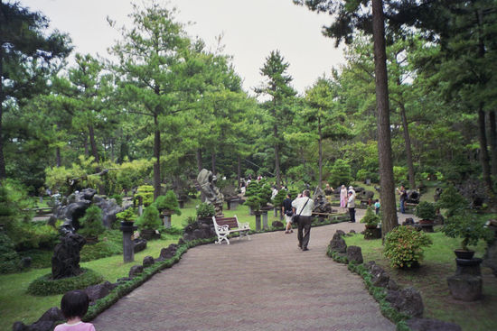 Der grosse Bonsai-Garten - eine Koreanische Erfindung