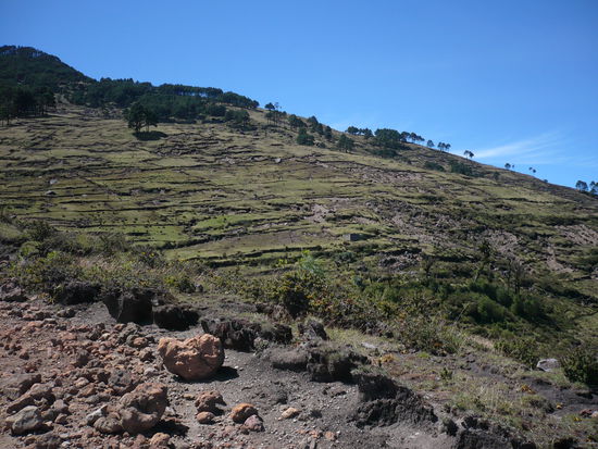 Tiefe Furchen durchziehen die Haenge