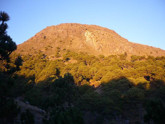 Der Olle in der Morgensonne