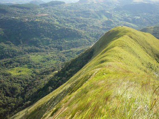 Und nochmal... wer findet unseren ganzen Stolz?