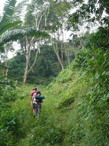 Das Wandern ist ...