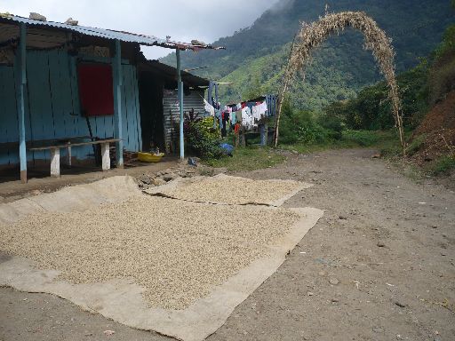 Kaffetrocknen vor dem Haus
